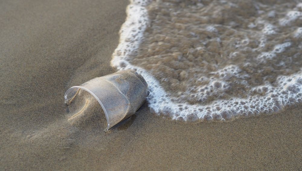 Vaso de plástico en el mar