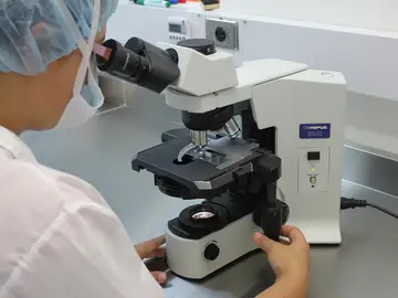 Investigación Investigación
