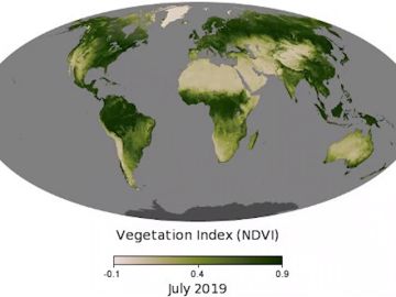 Mapa de la vegetación mundial