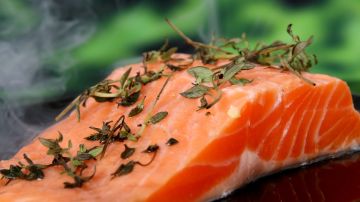 Salmón Salmón
