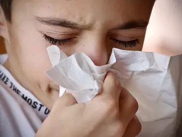 Niño sonándose la nariz Niño sonándose la nariz