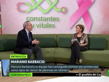 Mariano Barbacid visita el plató de Liarla Pardo para hablar del cáncer y de la situación en la que se encuentra la búsqueda de su cura Mariano Barbacid visita el plató de Liarla Pardo para hablar del cáncer y de la situación en la que se encuentra la búsqueda de su cura