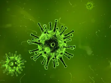 Coronavirus Coronavirus