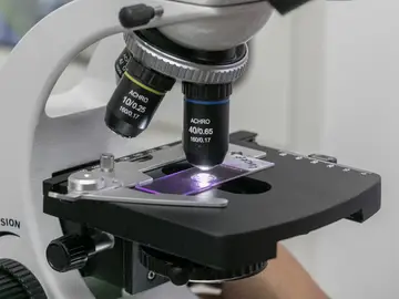 Una muestra examinada a través de microscopio Una muestra examinada a través de microscopio