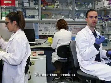 Terapia Celular para Epilepsias Infantiles en Fase 2 Terapia Celular para Epilepsias Infantiles en Fase 2