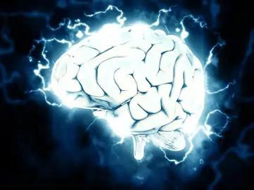 Imagen de un cerebro Imagen de un cerebro