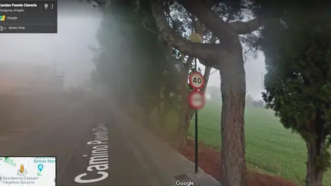 Denuncia recibida Señal tapada por árbol