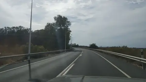 Denuncia recibida Curva sin visibilidad