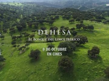 Llega a los cines 'Dehesa. El bosque del Lince Ibérico'