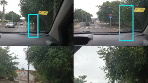 Denuncia recibida Señal tapada por hojas