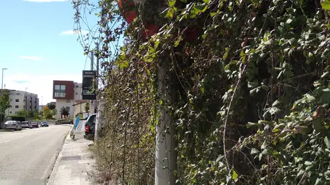 Denuncia recibida Señal tapada