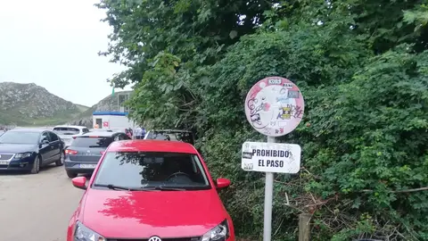 Denuncia recibida Señal pintada