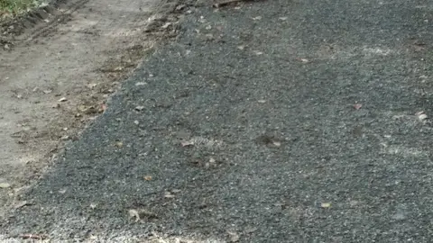 Denuncia recibida Camino en mal estado