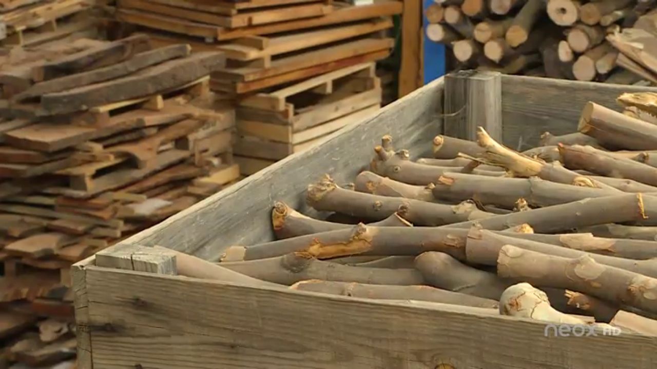Visitamos una empresa que reaprovecha los restos de madera para