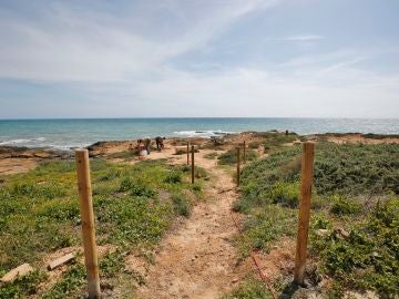 La actuación se enmarca en las labores de conservación de la biodiversidad local, especialmente ligada a zonas litorales colindantes a playas galardonadas con Bandera Azul         