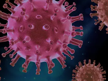 imagen del virus SARS-CoV-2 imagen del virus SARS-CoV-2