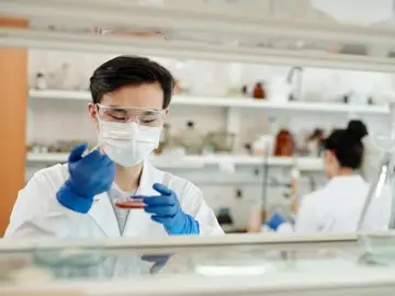 Científicos investigando en el laboratorio Científicos investigando en el laboratorio
