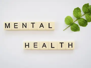 Salud Mental Salud Mental