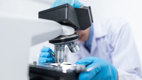Investigación contra el cáncer