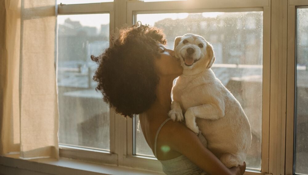 Los animales, seres vivos dotados de sensibilidad