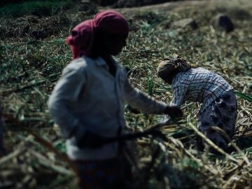 Mujeres agricultoras