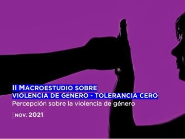 II Macroestudio sobre Violencia de Género- Tolerancia Cero