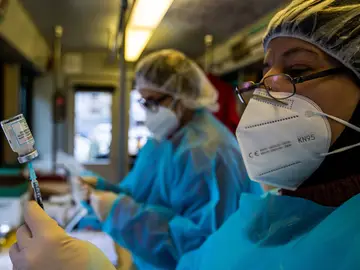 La variante ómicron del coronavirus se replica peor en el tejido pulmonar, lo que explica que los contagios sean menos graves. La variante ómicron del coronavirus se replica peor en el tejido pulmonar, lo que explica que los contagios sean menos graves.
