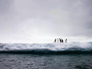 La superficie de hielo marino antartico alcanza un nuevo minimo historico