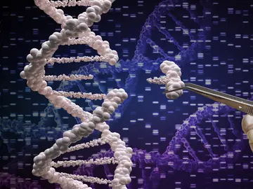 Patentado un método rápido y preciso que detecta la Covid-19 y otros virus con CRISPR Patentado un método rápido y preciso que detecta la Covid-19 y otros virus con CRISPR
