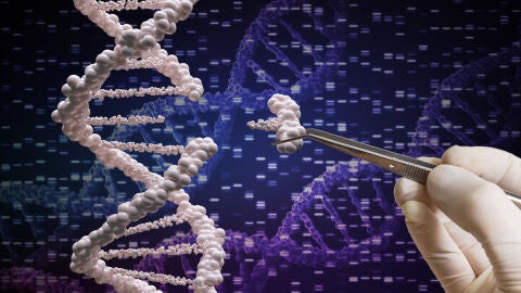  Los sistemas CRISPR discriminan con gran resolución secuencias genéticas