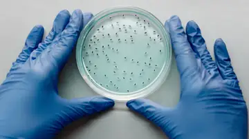 Un nuevo fármaco resulta eficaz contra más de 300 bacterias resistentes a los medicamentos Un nuevo fármaco resulta eficaz contra más de 300 bacterias resistentes a los medicamentos