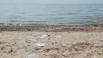 El plástico afecta más a las especies que habitan en profundidades marinas