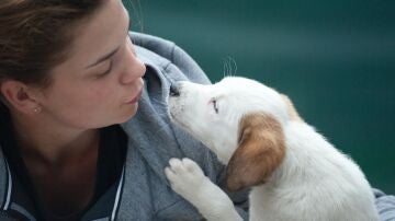 Living with pets improves physical and emotional well-being