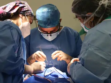 Se confirma la utilidad del trasplante de células madre en el tratamiento de la esclerosis múltiple Se confirma la utilidad del trasplante de células madre en el tratamiento de la esclerosis múltiple