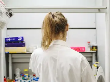 Crean modelos de ratón que abren la investigación a tratamientos personalizados del cáncer de endometrio Crean modelos de ratón que abren la investigación a tratamientos personalizados del cáncer de endometrio