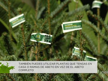 Árbol de Navidad natural o artificial, ¿cuál es la opción más sostenible?