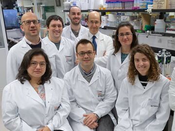 Investigadores españoles hallan un gen clave en el desarrollo y tratamiento del cáncer de páncreas