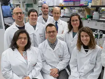 Investigadores españoles hallan un gen clave en el desarrollo y tratamiento del cáncer de páncreas Investigadores españoles hallan un gen clave en el desarrollo y tratamiento del cáncer de páncreas