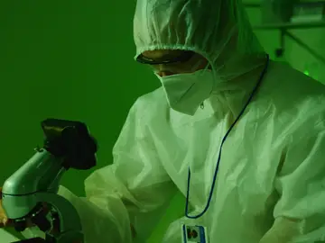 Cómo determinan los científicos si una sustancia es cancerígena Cómo determinan los científicos si una sustancia es cancerígena