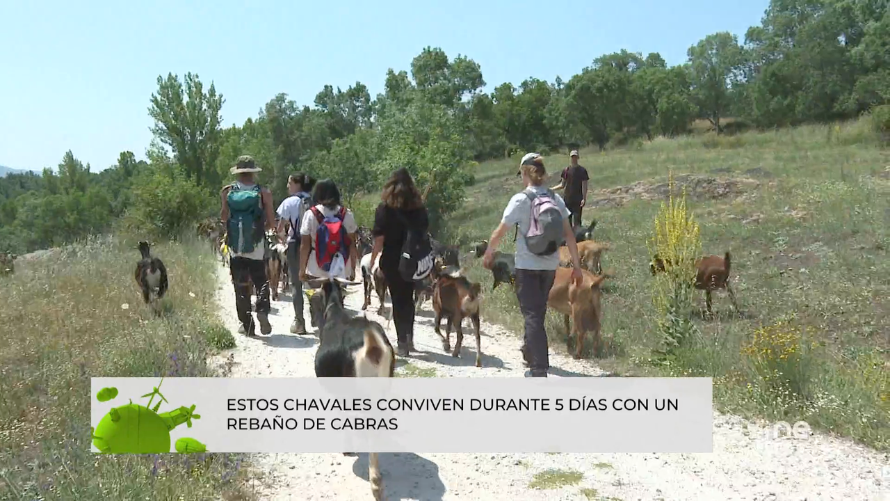 Jóvenes que deciden aprender el oficio del pastoreo ¿es urgente recuperar esta profesión?
