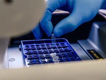 Una muestra de laboratorio Una muestra de laboratorio