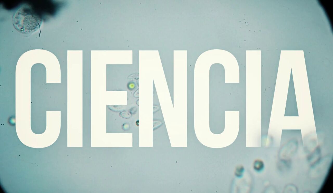 Constantes y Vitales cumple nueve años de compromiso por la ciencia y la investigación