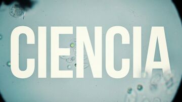 Constantes y Vitales cumple nueve años de compromiso por la ciencia y la investigación