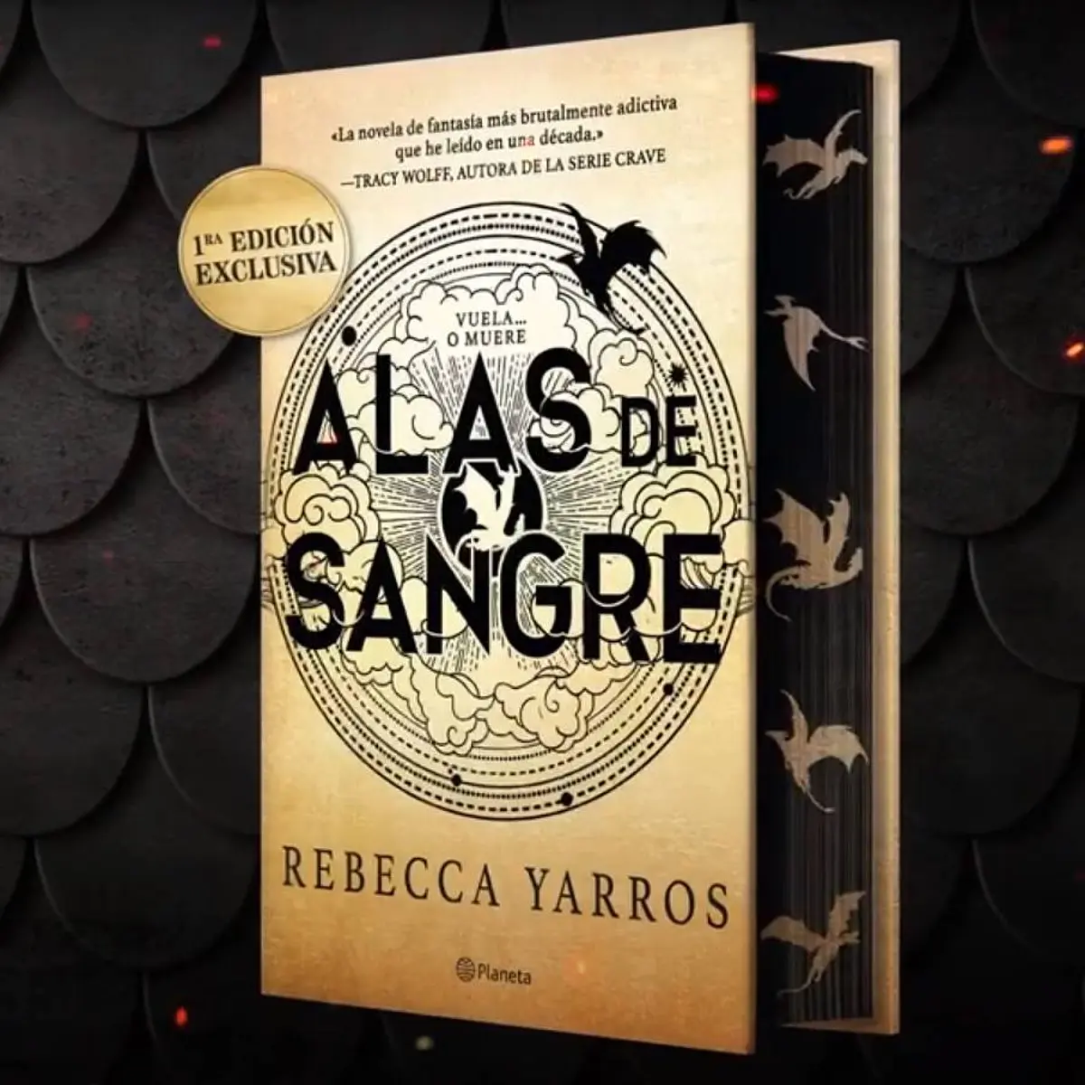 Alas de Sangre, la épica historia de dragones de Rebecca Yarros llega a  España