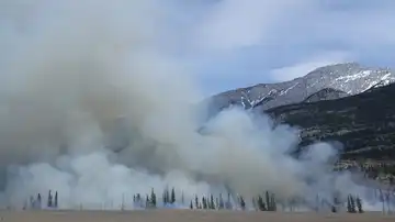 Incendios forestales en 2023
