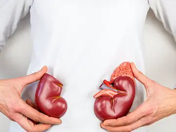 Un total de 4.800 personas han accedido a un trasplante renal en Euskadi en los últimos 45 años Un total de 4.800 personas han accedido a un trasplante renal en Euskadi en los últimos 45 años