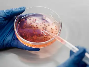 Explican cómo el cuerpo se protege de algunas vías de transmisión de ciertos virus Explican cómo el cuerpo se protege de algunas vías de transmisión de ciertos virus