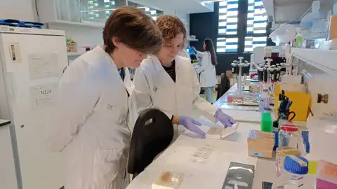 investigadores en el laboratorio investigadores en el laboratorio
