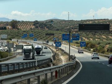 Adjudicada la revegetación de autovías de Almería, Granada, Jaén y Málaga con 5.200 plantas y arbustos