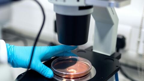 Una inversion en salud mundial: La OMS destina casi dos millones de euros en diez proyectos para la vigilancia genómica de patógenos